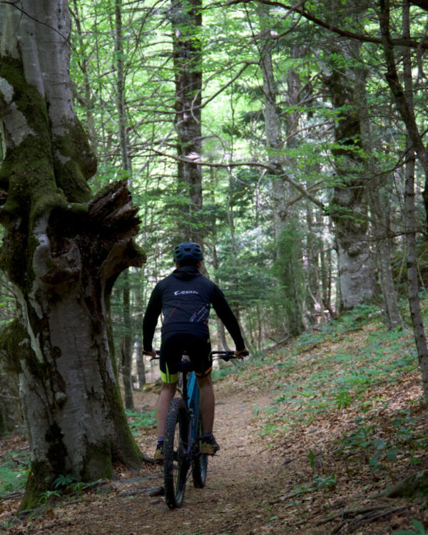 Ebike Ordesa